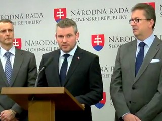 Vidím krv v očiach a penu v ústach opozície, hovorí Pellegrini