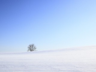 Očarujúci japonský ostrov: Ročne tu napadne až 15 metrov snehu