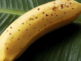 Kokaín v banánoch. V Madride našli rekordnú zásielku