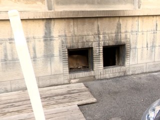 Muž manželku polial benzínom a škrtil. Hrozí mu 10 rokov vo väzení