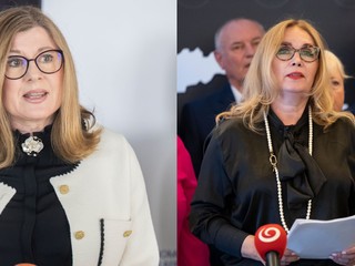 Šubová tvrdí, že obvinenie Matečnej súvisí s jej oznámeniami. Zásah považuje za pomstu