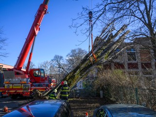 Poškodené autá aj popadané stromy: Víchrica narobila škody v hlavnom meste