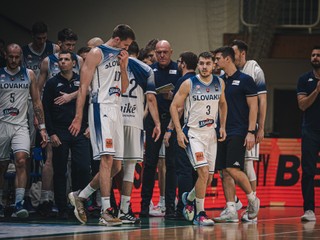 Dánsko - Slovensko o postup do kvalifikácie ME 2025