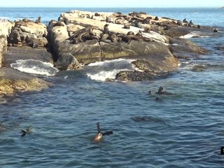 Svet 24 o raji tuleňov, ale aj o výlete do komunizmu