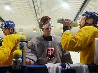 Mezei sa dohodol s Plzňou