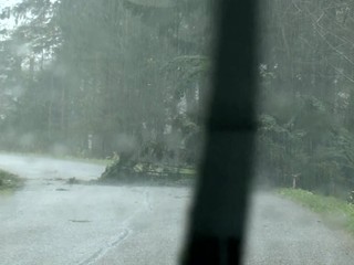 SHMÚ vydalo výstrahy prvého stupňa pred silným vetrom