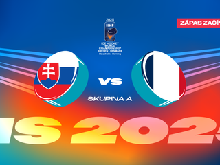 Slovensko - Francúzsko