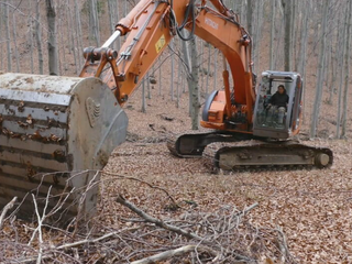 Lesné vodozádržné opatrenia dokážu absorbovať milióny litrov vody a znižujú riziko záplav