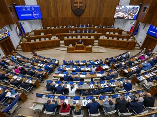 Koaličná politička čelí trestnému stíhaniu. Obvinená je zo správy cudzieho majetku