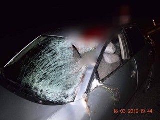 Pri Senici sa tri autá zrazili so zverou. Utrpeli zranenia