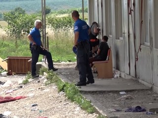 Mimoriadna situácia pri Nitre. Ploštice sa nachádzali v každom treťom byte