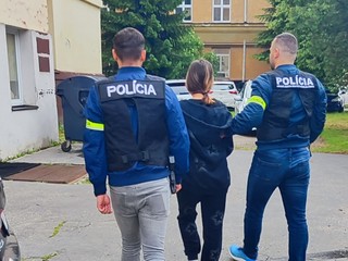 Dievča (17) z Lietavskej Lúčky zlákalo päť detí na prostitúciu