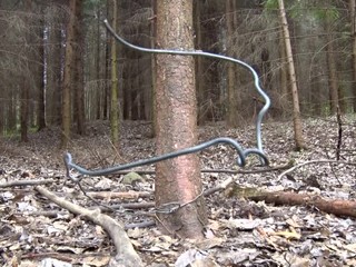 Psa našiel turista vyhladovaného, vysileného a uviazaného o strom