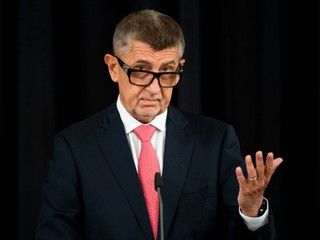 Babiš sa musí ospravedlniť novinárke za nepravdivý príspevok. S dovolaním neuspel