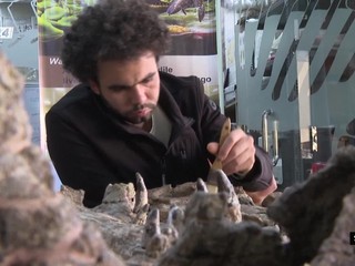 Svet 24 o filipínskom ostrove Bohol aj o špeciálnych okuliaroch