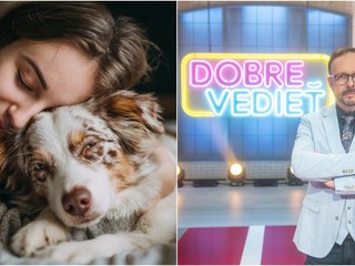 Dobre vedieť! Vedci odhalili svoj objav: Psy už pre nás nechcú pracovať, túžia po TOMTO!
