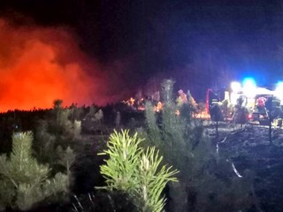 Vianočné stromčeky pri Novej Bani zhoreli. Polícia berie do úvahy aj úmyselné podpálenie