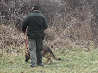 V kríkoch našli zmlátenú ženu, mohla tam byť aj niekoľko dní