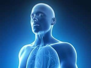 Zápal pankreasu môže zabíjať: Spúšťa ho mastné jedlo, sladkosti, alkohol