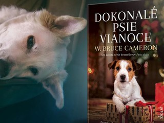 Zázraky naozaj existujú, stačí len veriť... Vychutnajte si Dokonalé psie Vianoce