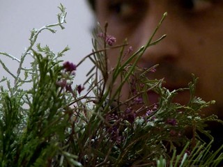 Policajti zatkli zlodeja. Celý čas držal kvetináč