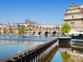 V pražskej zoo sa vyliahol vzácny varanovec, svätý grál medzi plazmi