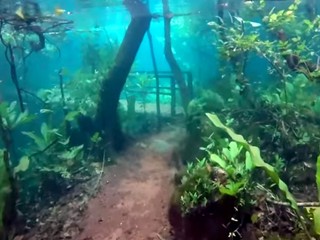 Prívalový dážď premenil brazílsku rezerváciu na podvodný park