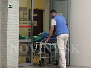 Ranný beh na Urpíne sa zmenil na boj o život. Bežca napadol medveď