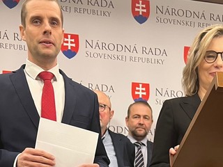 Na poľadovicu doplatila poslankyňa Národnej rady SR