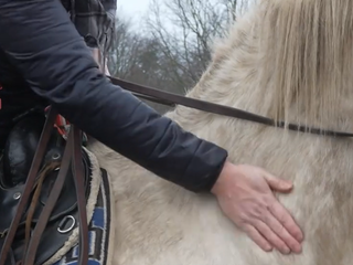 Konská turistika v Poloninách naráža na zákazy, riešením majú byť hipotrasy
