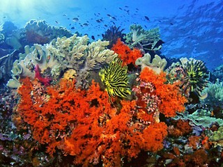 V Austrálii práve prebieha najväčšia sexuálna udalosť na svete