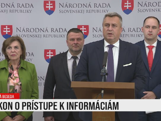 Tlačová beseda SNS k zákonu o prístupe k informáciám