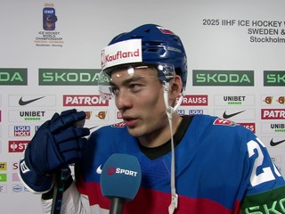 Sen o štvrťfinále sa rozplynul. Slováci v reakcii na zápas priznávajú chyby aj frustráciu