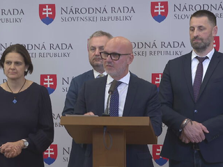 Tlačová beseda strany SaS: Ako zastaviť infringement