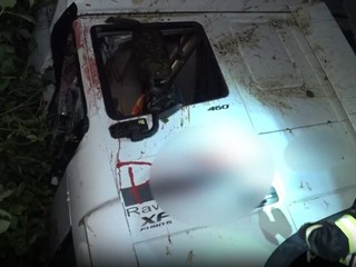 Laň preletela čelným sklom. Vodič sa v bezvedomí rútil s kamiónom niekoľko metrov