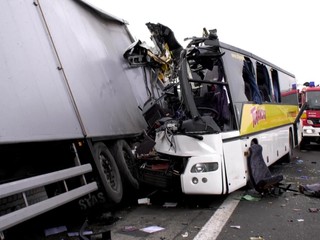 Spôsobil nehodu, ktorú neprežil aj spisovateľ Peter Krištúfek. Vodič autobusu pozná svoj trest