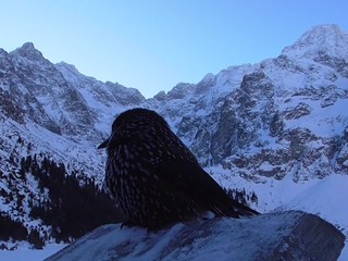 Vysoké Tatry zo severu? Na túru si pripravte kompletný výstroj