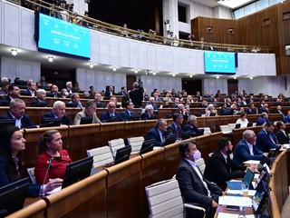 Dve pohlavia v ústave: Prieskum ukázal, v ktorých krajoch zmenu najviac podporili