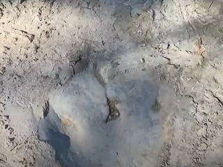 Pre extrémne suchá zmizla z rieky voda: Z jej koryta sa vynorila desivá vec