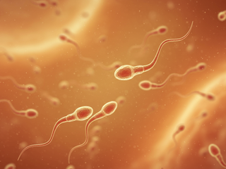 Odborník urobil spermiogramy chlapcom z maturitnej triedy. Výsledok ho šokoval