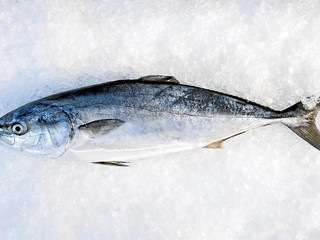 Obchodník lepil rybám umelé oči, aby vyzerali čerstvo