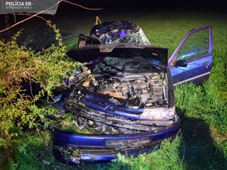 Tragédia po strete so zverou: 20-ročný spolujazdec nehodu neprežil