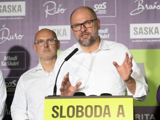 Profil strany SaS a jej predsedu Richarda Sulíka