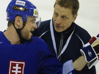 Gáborík: V Hanlonovi chyba nebola!