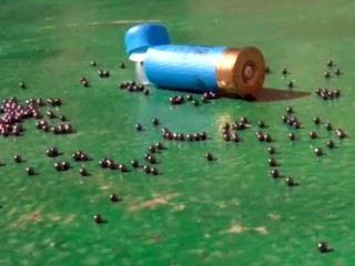 Pes v Rusku postrelil svojho pána pri ceste na lov. Muž na následky zranení zomrel