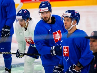 Brankárov trápia šmykľavé žŕdky, Lašák: „Bránky sú divné“