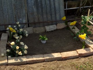 Majiteľ ťahal psa za autom. Ten to neprežil