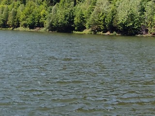 Tragický koniec rybačky: O život prišiel 67-ročný rybár