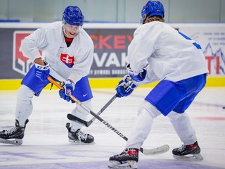 Tréner Feneš má tri týždne pred MS k dispozícii široký káder