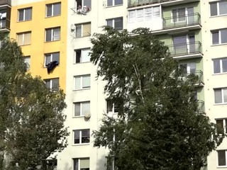 Slovensko trápi silný vietor 1.stupňa. Toto sú odporúčania hasičov a polície